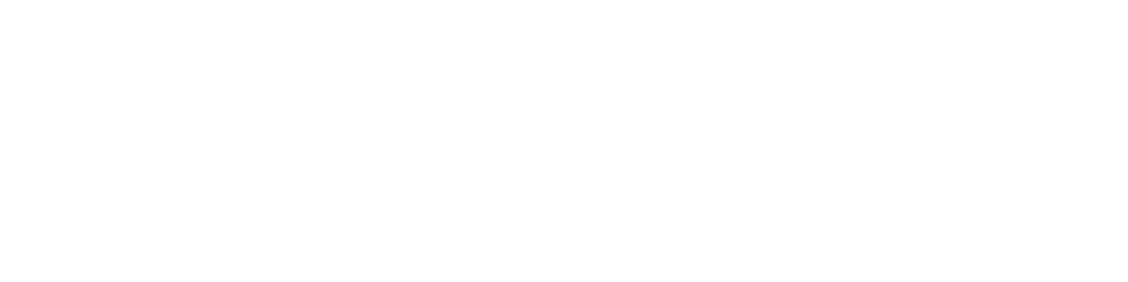 Website Dark Logo
